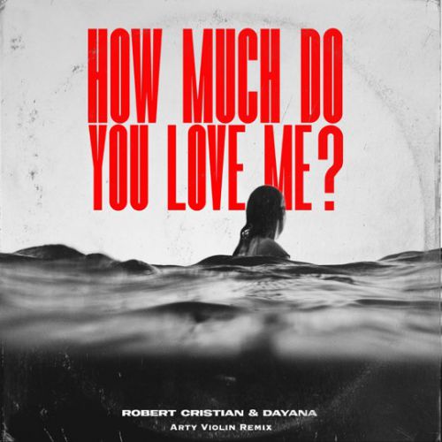 Обложка к песне How Much Do You Love Me? (Arty Violin Remix) от Robert Cristian & Dayana