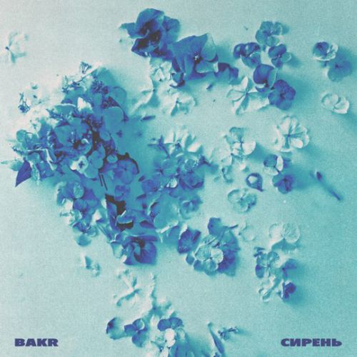 Обложка к песне Сирень от Bakr