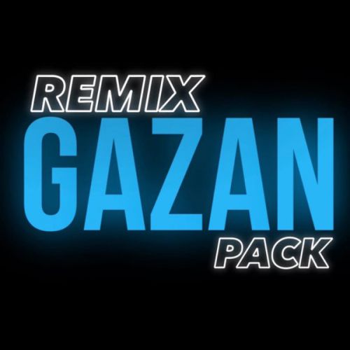 Обложка к песне Че За Лев Этот Тигр (DJ Safiter Remix) от Gazan