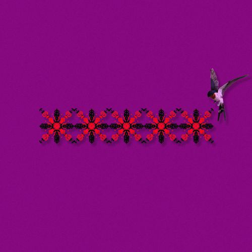 Обложка к песне Ластівки (feat. Qatoshi) от Chico