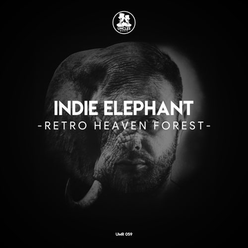 Обложка к песне Retro Heaven Forest от Indie Elephant
