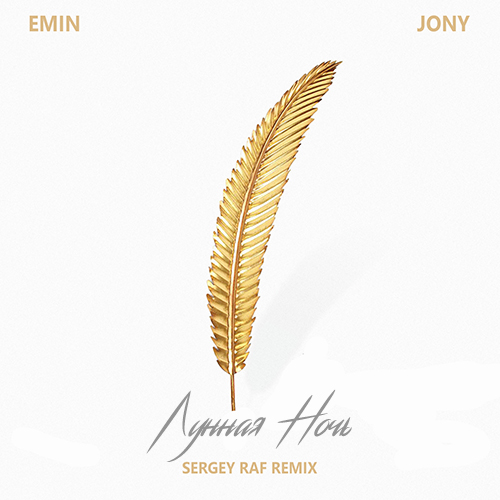Обложка к песне Лунная Ночь (Sergey Raf Remix) от Emin & Jony