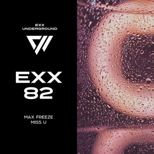 Обложка к песне Miss U (Original Mix) от Max Freeze