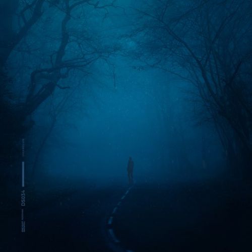 Обложка к песне ‎Snowfall (feat. Reidenshi) от Øneheart