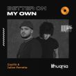 Обложка к песне Better On My Own (feat. Julian Perretta) от Gaullin