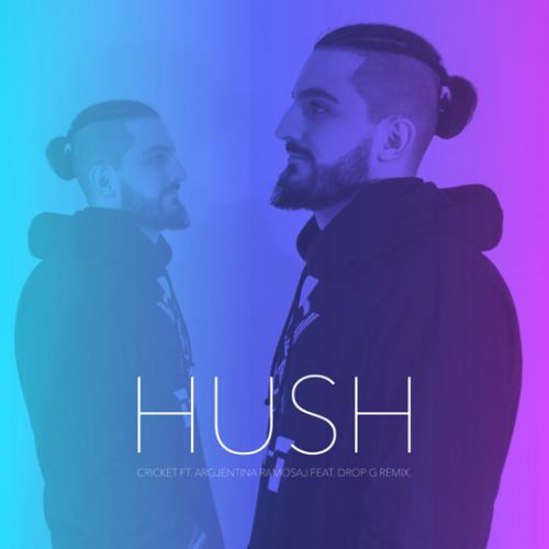 Обложка к песне Hush (Drop-G Remix) от Cricket & Argjentina Ramosaj