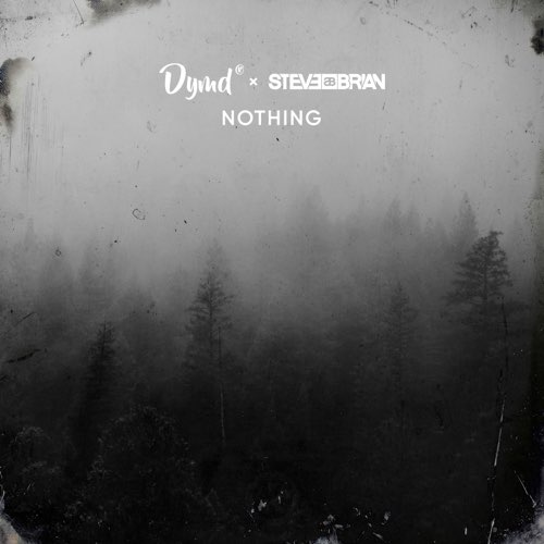 Обложка к песне Nothing (feat. Steve Brian) от Dymd