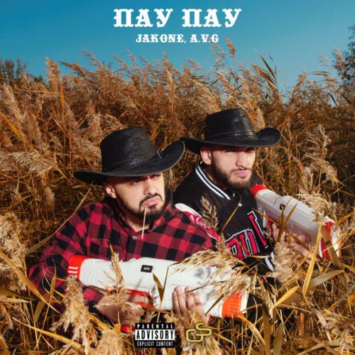Обложка к песне Пау Пау (feat. A.V.G) от Jakone