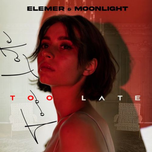 Обложка к песне Too Late (feat. MoonLight) от Elemer