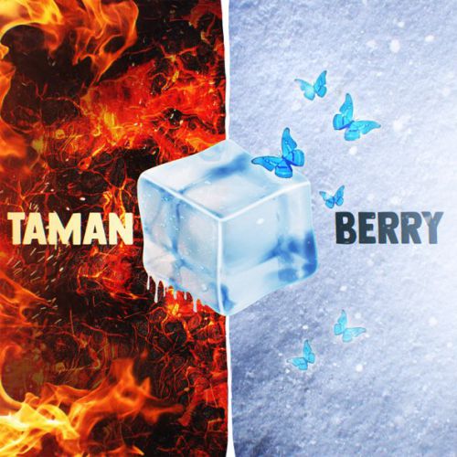 Обложка к песне Мальвина (feat. Berry) от Taman