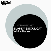 Обложка к песне White Horse (Original Mix) от Blandy & Soul Cat