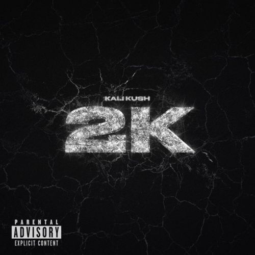 Обложка к песне 223 (feat. Malcolm Kush & Скриптонит) от Kali