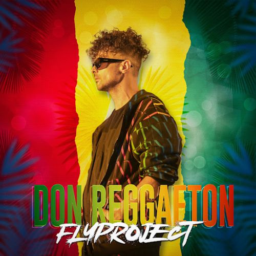 Обложка к песне Don Reggaeton от Fly Project