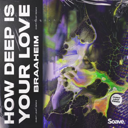 Обложка к песне How Deep Is Your Love (Chrit Leaf Remix) от Braaheim