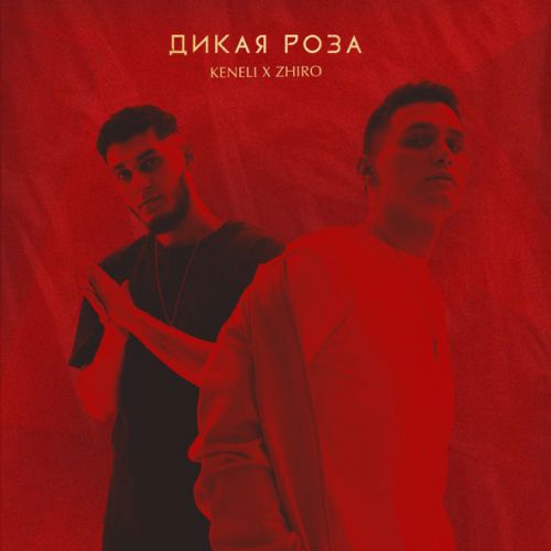 Обложка к песне Дикая Роза (feat. Zhiro) от Keneli