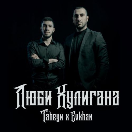 Обложка к песне Люби Хулигана (feat. Evkhan) от Taheyn