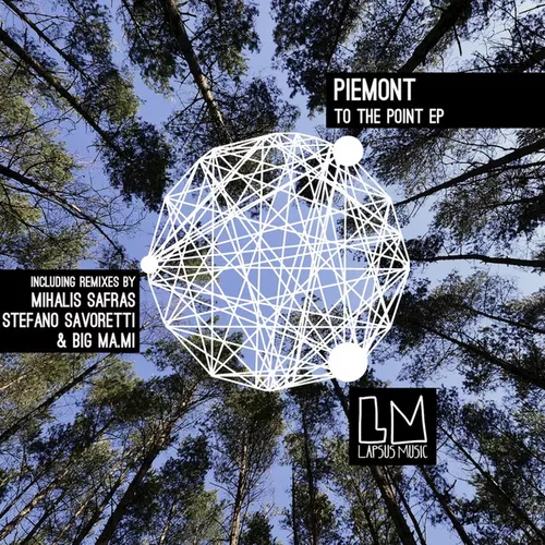 Обложка к песне To The Point (Original Mix) от Piemont