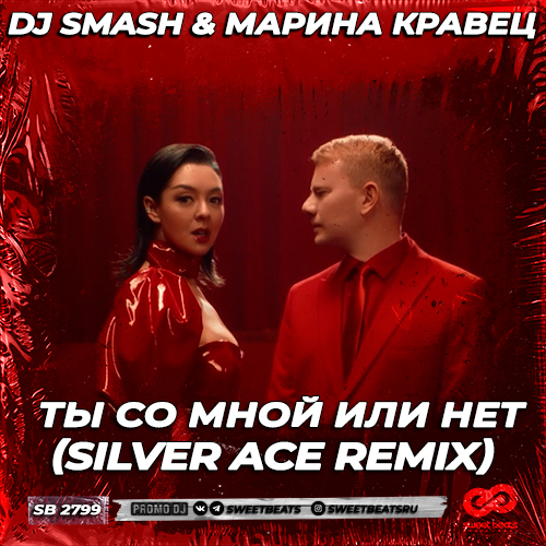 Обложка к песне Ты Со Мной Или Нет (Silver Ace Remix) от DJ Smash & Марина Кравец