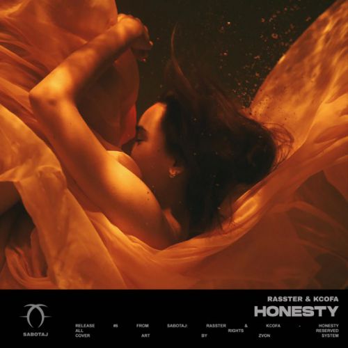 Обложка к песне Honesty (feat. Kcofa) от Rasster