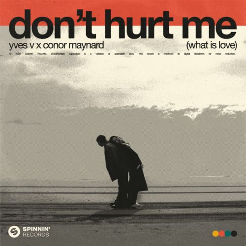 Обложка к песне Don't Hurt Me (What Is Love) (feat. Conor Maynard) от Yves V