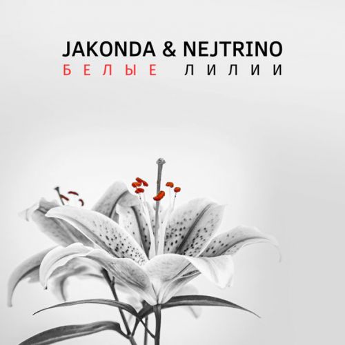 Обложка к песне Белые Лилии (feat. Nejtrino) от Jakonda