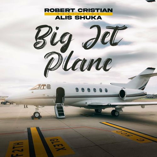 Обложка к песне Big Jet Plane (feat. Alis Shuka) от Robert Cristian