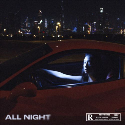 Обложка к песне All Night (feat. Luciano) от Raf Camora