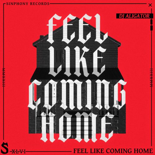 Обложка к песне Feel Like Coming Home от DJ Aligator