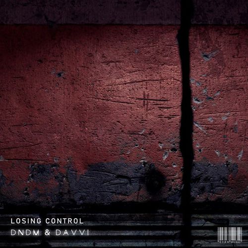 Обложка к песне Losing Control (feat. Davvi) от Dndm