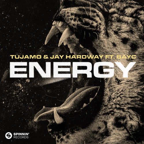 Обложка к песне Energy (feat. Jay Hardway & Bay-С) от Tujamo