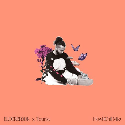 Обложка к песне Howl (Chill Mix) от Elderbrook & Tourist