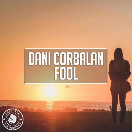 Обложка к песне Fool (Radio Edit) от Dani Corbalan