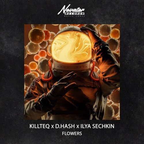 Обложка к песне Flowers (feat. D.Hash & Ilya Sechkin) от Killteq