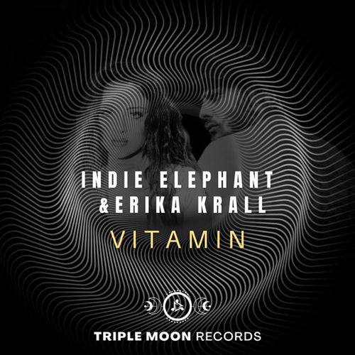 Обложка к песне Vitamin (Extended Mix) от Erika Krall & Indie Elephant