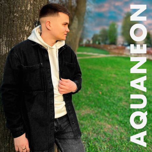 Обложка к песне Нам Не Надо от Aquaneon