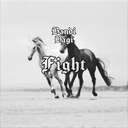 Обложка к песне Fight (feat. Bagi) от Bandi