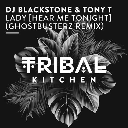 Обложка к песне Lady (Hear Me Tonight) (Ghostbusterz Remix) от DJ Blackstone & Tony T