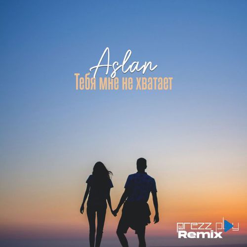 Обложка к песне Тебя Мне Не Хватает (DJ Prezzplay Remix) от Aslan