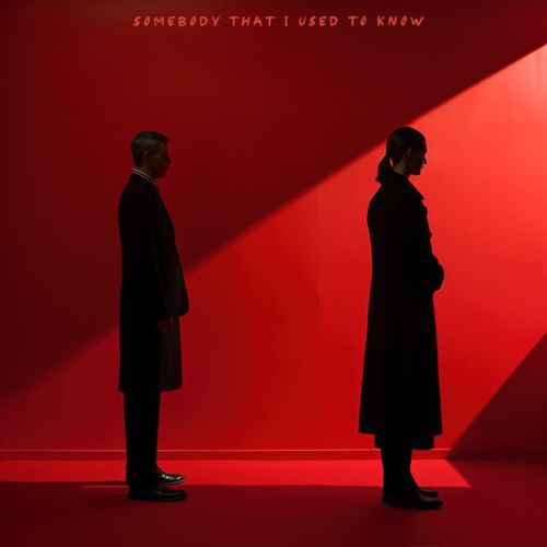 Обложка к песне Somebody That I Used to Know (feat. Organ & Favia) от Oneil