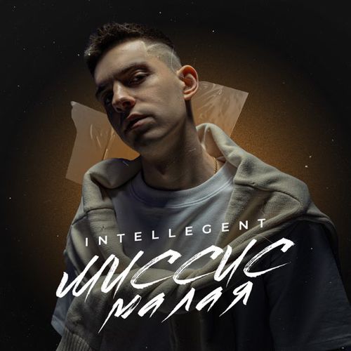 Обложка к песне Миссис Малая от INtellegent