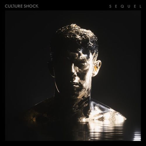 Обложка к песне Recombine (feat. Sub Focus) от Culture Shock