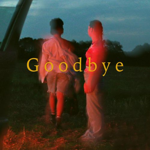 Обложка к песне Goodbye (feat. Sam Welch) от Avaion