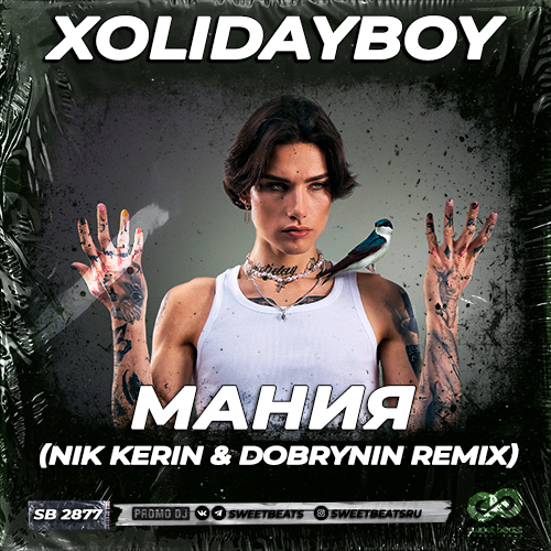 Обложка к песне Мания (Nik Kerin & Dobrynin Remix) от Xolidayboy