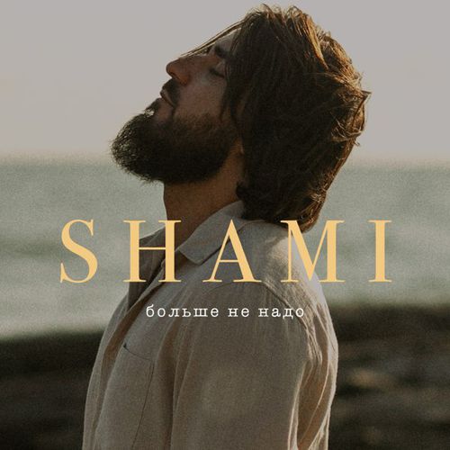 Обложка к песне Больше Не Надо от Shami
