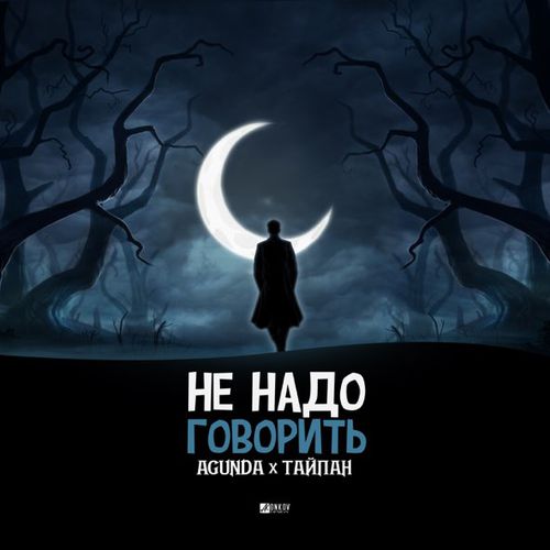 Обложка к песне Не Надо Говорить (feat. Тайпан) от Agunda