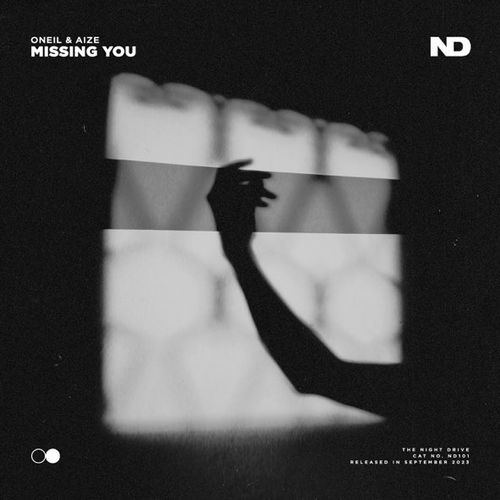 Обложка к песне Missing You (feat. Aize) от Oneil