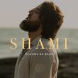 Обложка к песне Больше Не Надо от Shami