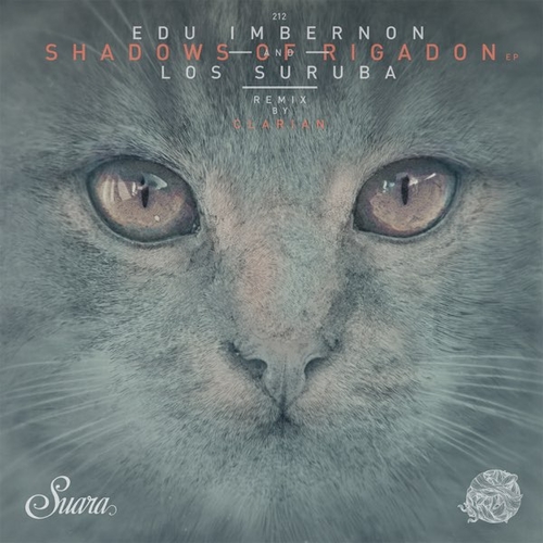 Обложка к песне Shadows Of Rigadon (Clarian Remix) от Edu Imbernon & Los Suruba