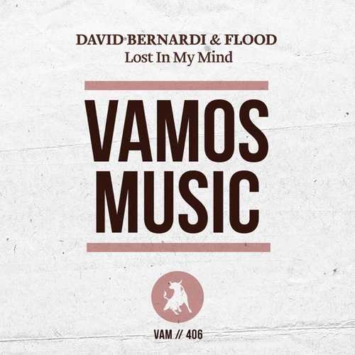 Обложка к песне Lost In My Mind (Original Mix) от David Bernardi & Flood
