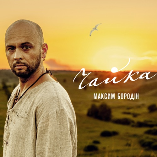 Обложка к песне Чайка от Максим Бородін